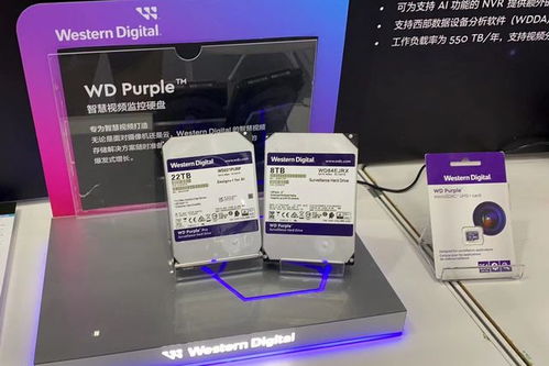 西部數據亮相2023物聯網產業大會 以專業存儲與數據處理方案，賦能萬物智聯新時代