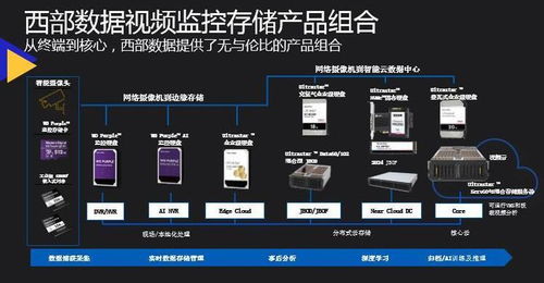 西部數據孫煜 AI安防與存儲的變革丨AI安防峰會深度解讀
